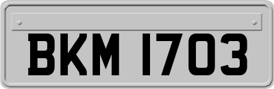 BKM1703