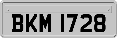 BKM1728