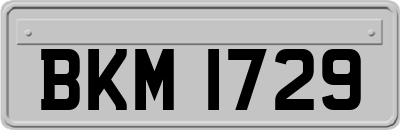 BKM1729