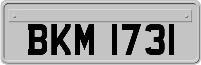 BKM1731