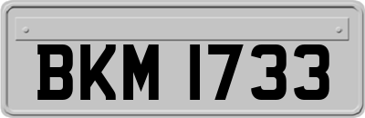 BKM1733