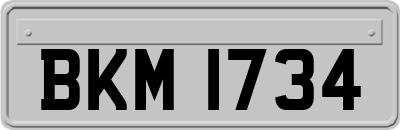 BKM1734