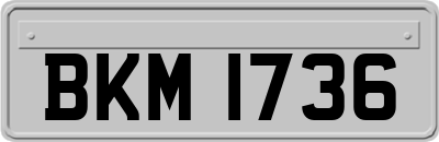BKM1736