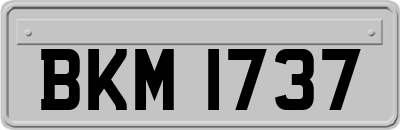 BKM1737