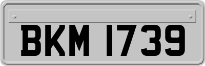 BKM1739