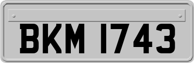 BKM1743
