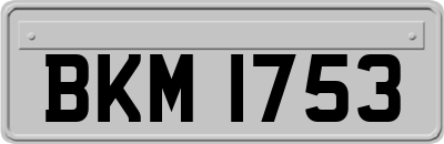 BKM1753
