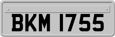 BKM1755