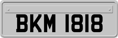 BKM1818