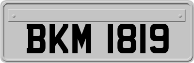 BKM1819