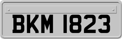BKM1823