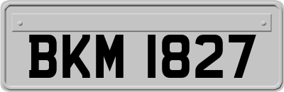 BKM1827