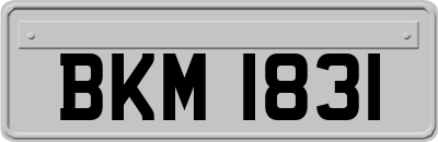 BKM1831