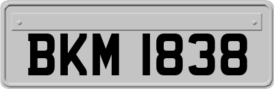 BKM1838