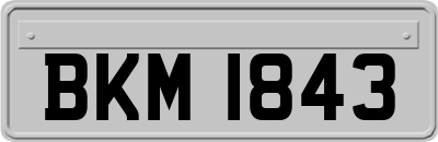 BKM1843