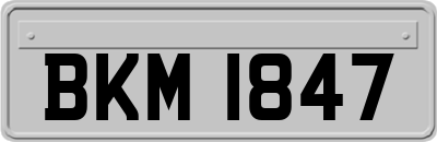 BKM1847
