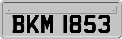 BKM1853