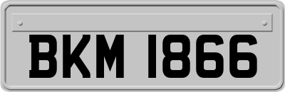 BKM1866