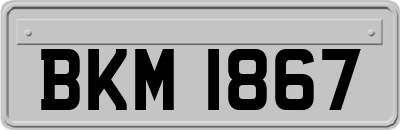 BKM1867
