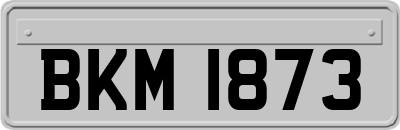 BKM1873