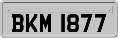 BKM1877