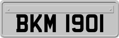 BKM1901