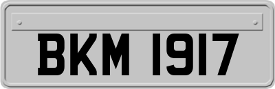 BKM1917