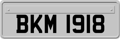 BKM1918