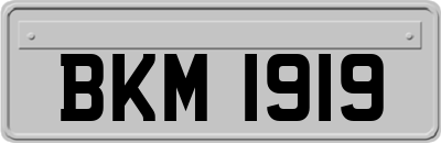 BKM1919