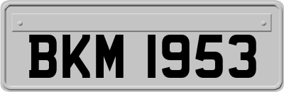 BKM1953