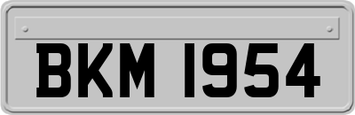 BKM1954