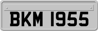 BKM1955