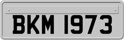 BKM1973