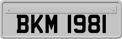 BKM1981