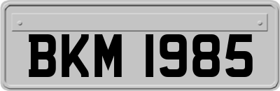 BKM1985
