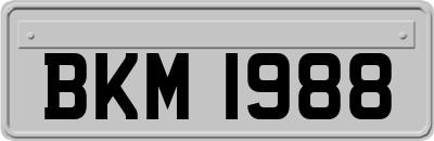 BKM1988