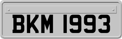 BKM1993