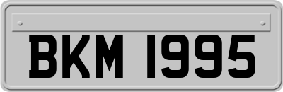 BKM1995