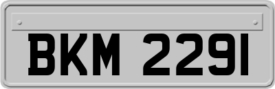 BKM2291