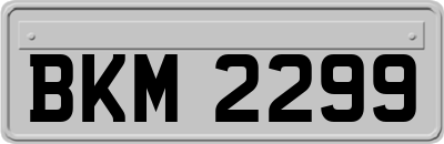 BKM2299