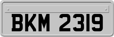 BKM2319