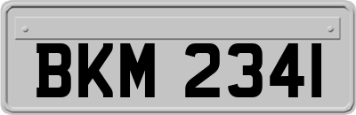 BKM2341