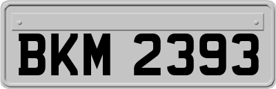 BKM2393