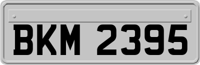 BKM2395