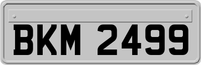 BKM2499