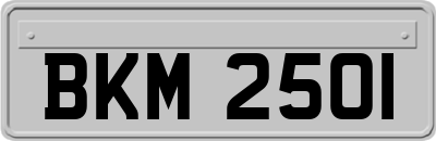 BKM2501