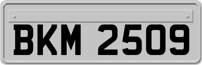 BKM2509