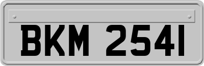 BKM2541
