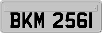 BKM2561