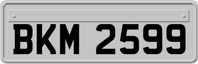 BKM2599